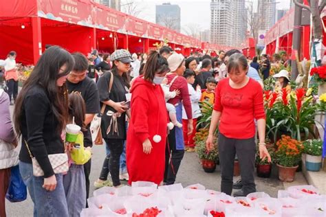 東莞花草市場在哪裏與其說是尋找一個地方，不如說是一個探索自然之美與城市綠意的故事。